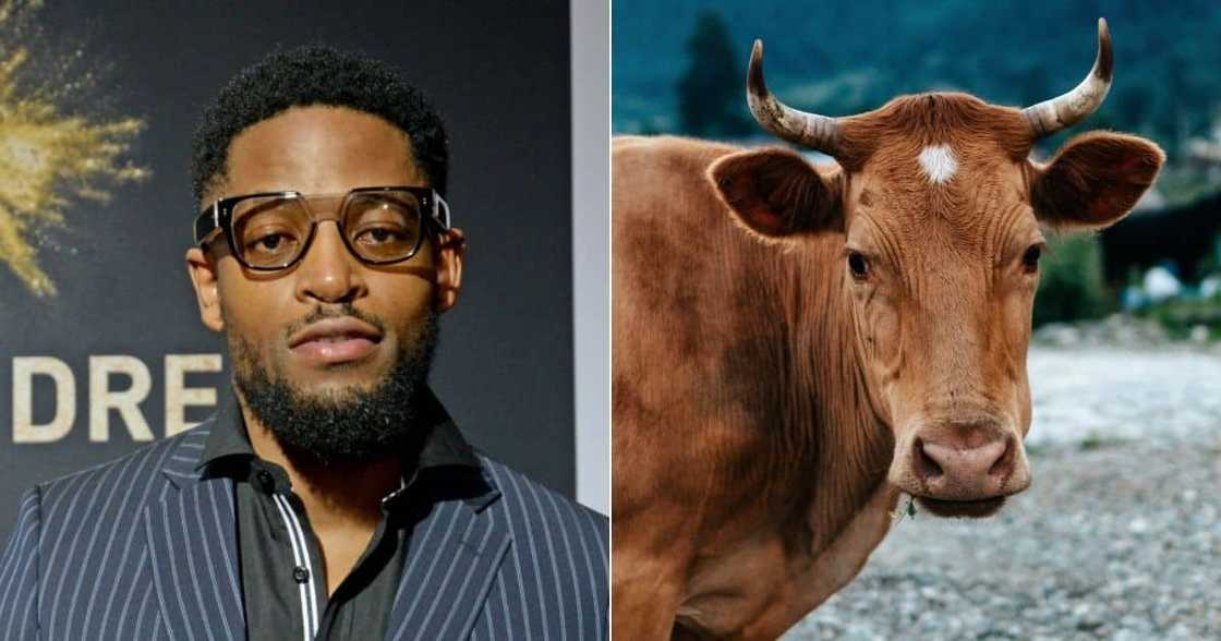 Prince Kaybee, lobola, marriage, pressure, debt, divorce Prince Kaybee, lobola, marriage, pressure, debt, divorce