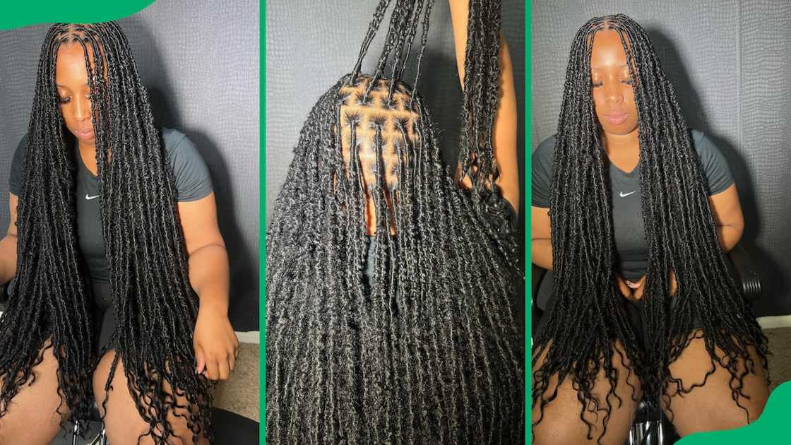 Long butterfly locs