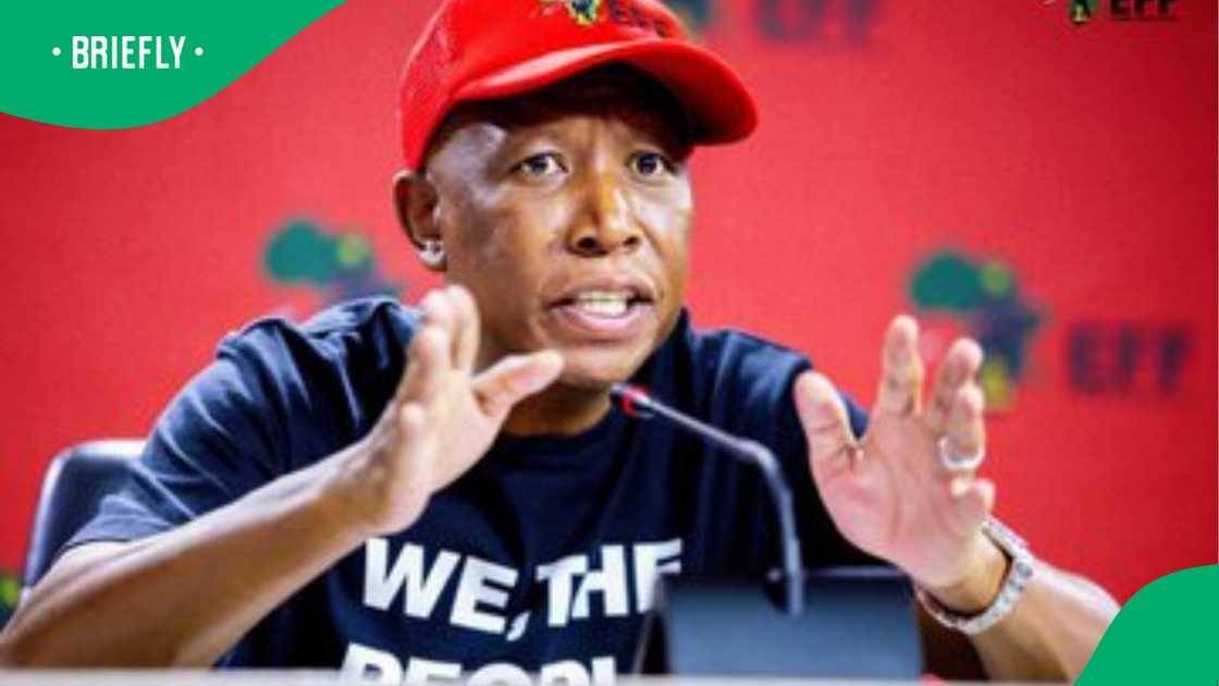 Julius Malema Julius Malema