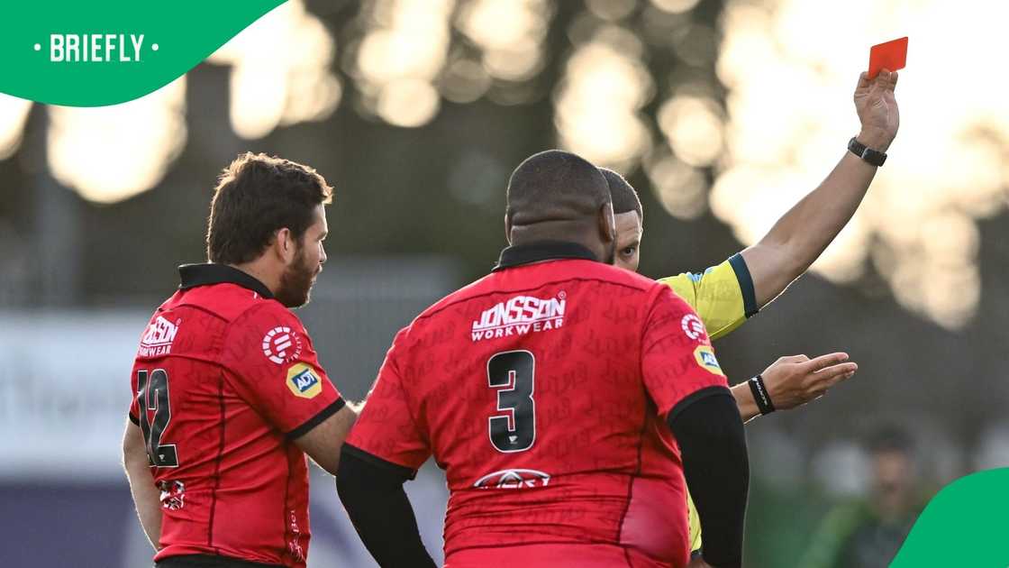 Springboks, Asenathi Ntlabakanye, United Rugby Championship Springboks, Asenathi Ntlabakanye, United Rugby Championship