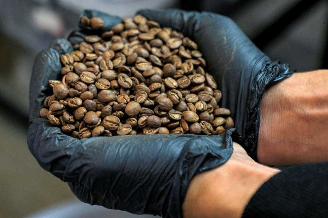 Yemeni coffee is world renowned Yemeni coffee is world renowned
