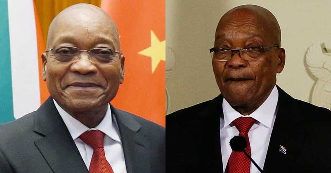 Zuma: Former president still at home after snubbing Luthuli House meeting Zuma: Former president still at home after snubbing Luthuli House meeting