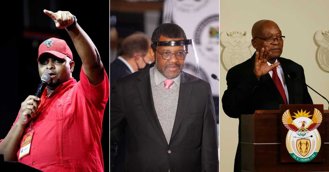 Floyd Shivambu says Dali Mpofu can represent anyone he wants amidst Jacob Zuma case, sparks reactions Floyd Shivambu says Dali Mpofu can represent anyone he wants amidst Jacob Zuma case, sparks reactions