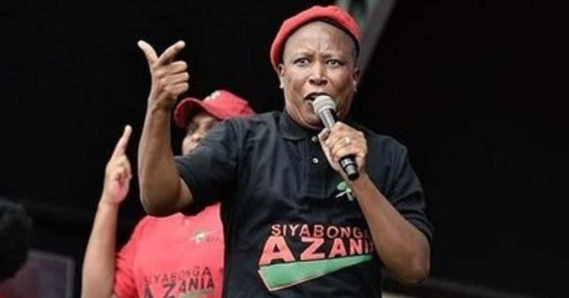 Julius Malema, dance, grandmother, video