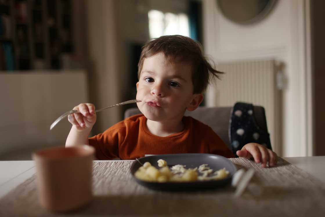 Kid shows he can use fork and knife