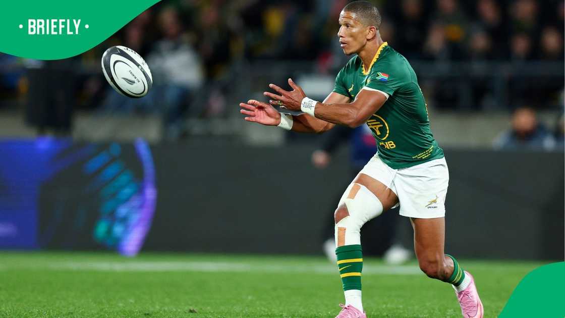 Springboks, Mannie Libbok, All Blacks Springboks, Mannie Libbok, All Blacks