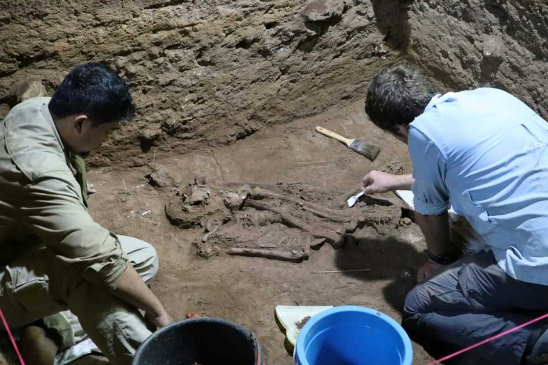 A skeleton discovered in a remote corner of Borneo rewrites the history of ancient medicine and proves amputation surgery was successfully carried out some 31,000 years ago, scientists say A skeleton discovered in a remote corner of Borneo rewrites the history of ancient medicine and proves amputation surgery was successfully carried out some 31,000 years ago, scientists say