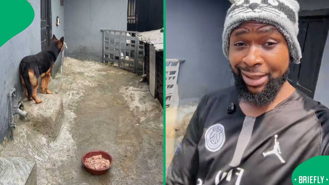 A video went viral on TikTok. A video went viral on TikTok.