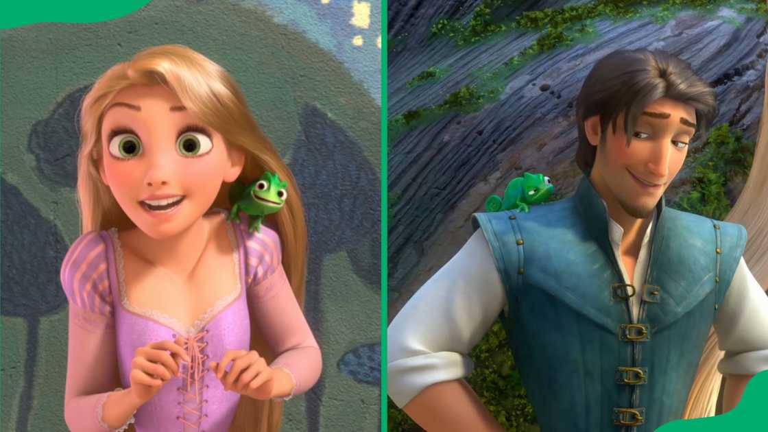 Rapunzel and Flynn Rider. Rapunzel and Flynn Rider.