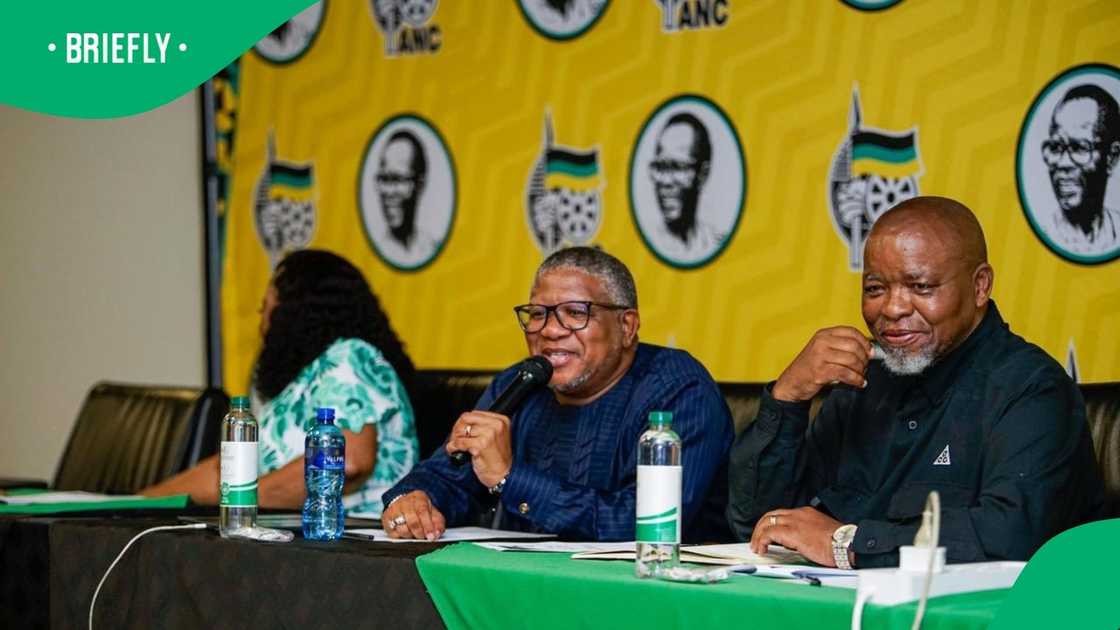 The ANC's NEC met to discuss the fate of its KZN and Gauteng Provincial Executive Committee