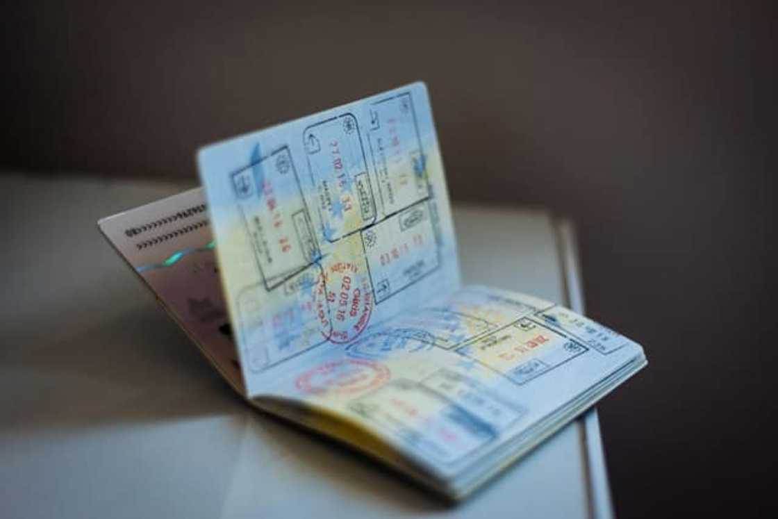 permanent residence permit in south africa permanent residence permit in south africa