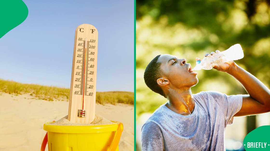 The City of Cape Town warned residents to stay in the shade during the heatwave The City of Cape Town warned residents to stay in the shade during the heatwave