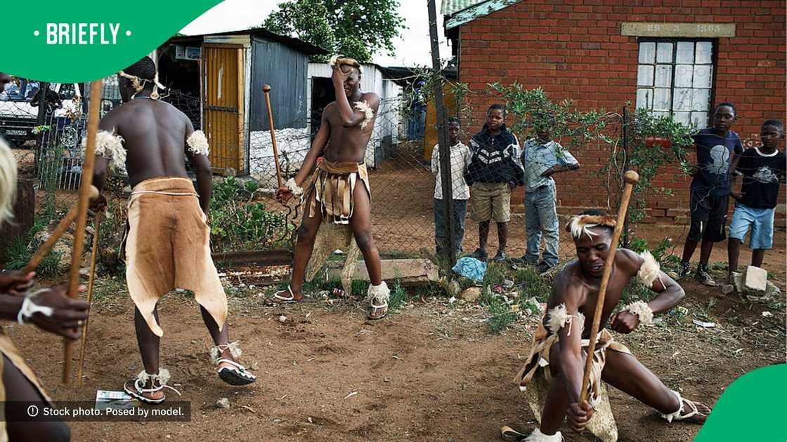 Zulu bride wows SA Zulu bride wows SA