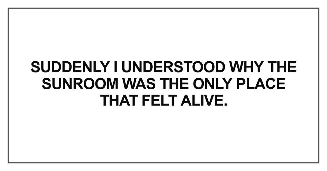 Suddenly I understood why the sunroom