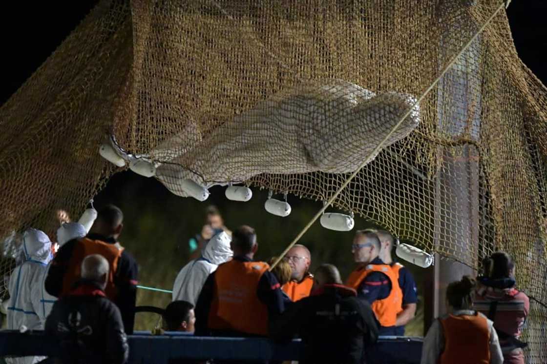The beluga was removed from the Seine after being stranded for more than a week in the river some 130 kilometres inland The beluga was removed from the Seine after being stranded for more than a week in the river some 130 kilometres inland