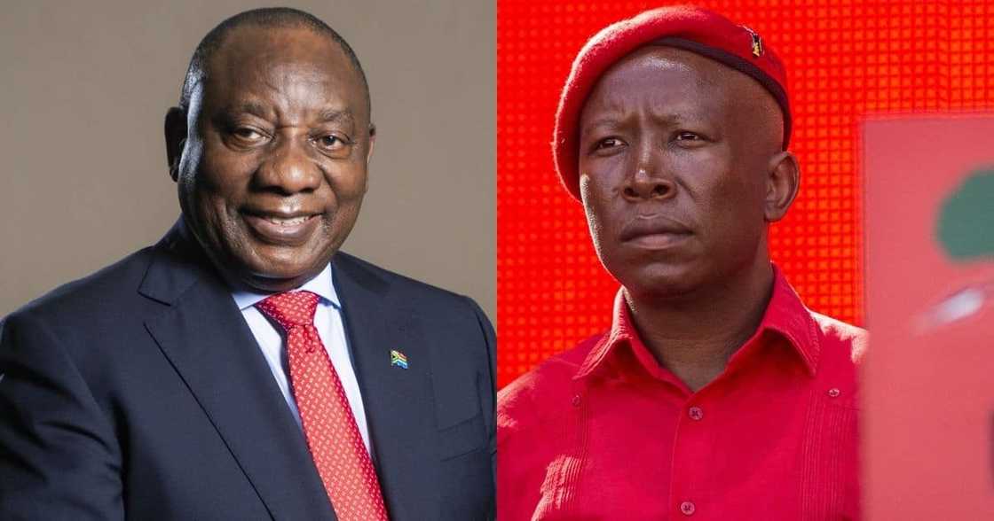 Malema fights harsher restrictions, viable vaccine roll-out, Ramaphosa considers higher lockdown Malema fights harsher restrictions, viable vaccine roll-out, Ramaphosa considers higher lockdown