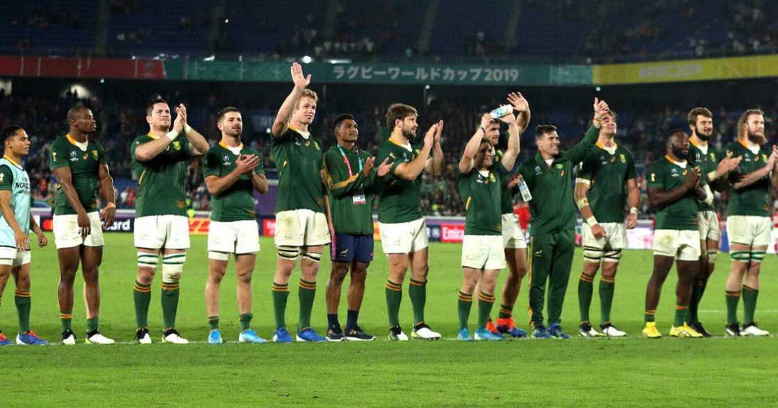 The demand for Springbok merchandise has soared, further increasing the value of the iconic green and gold jersey.