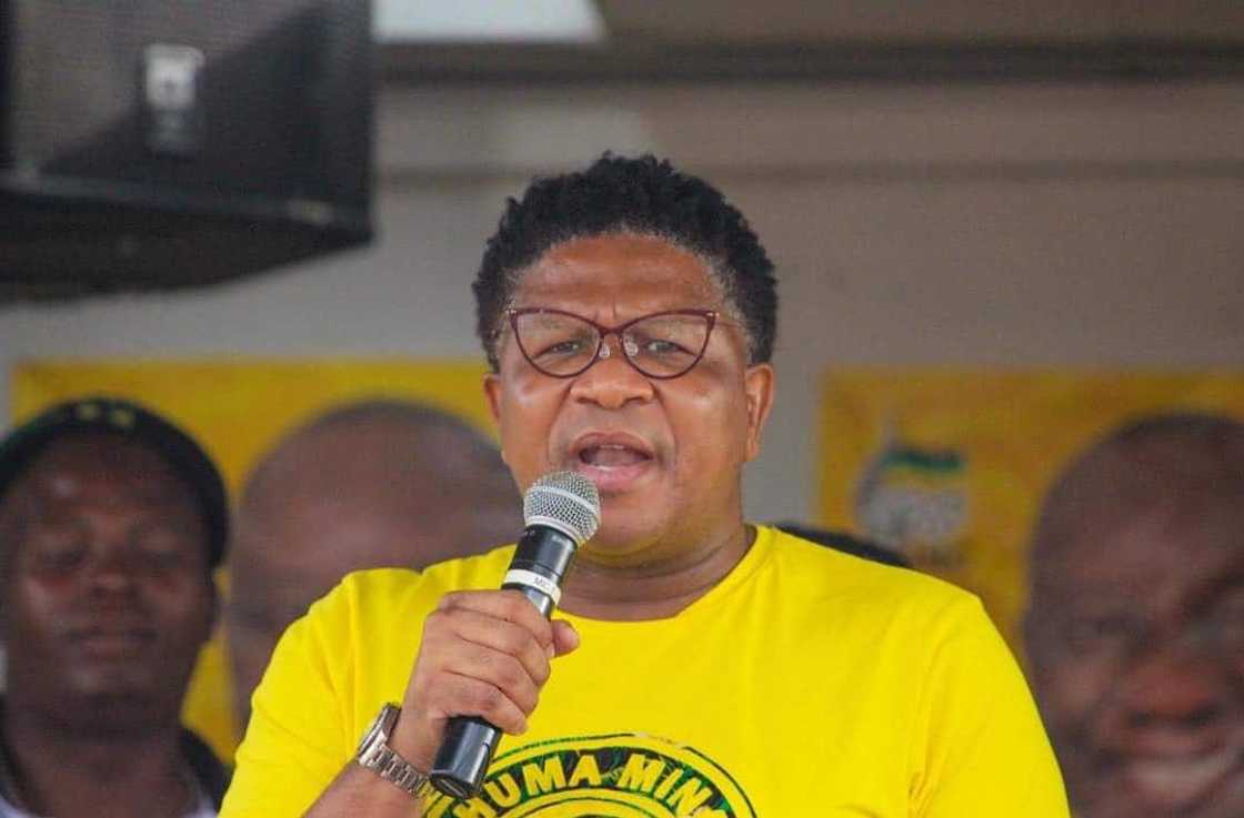 Fikile Mbalula biography: age, wife, education, Tweets, cars and contact details