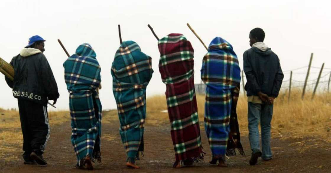 Initiation schools, death toll, Ulwaluko