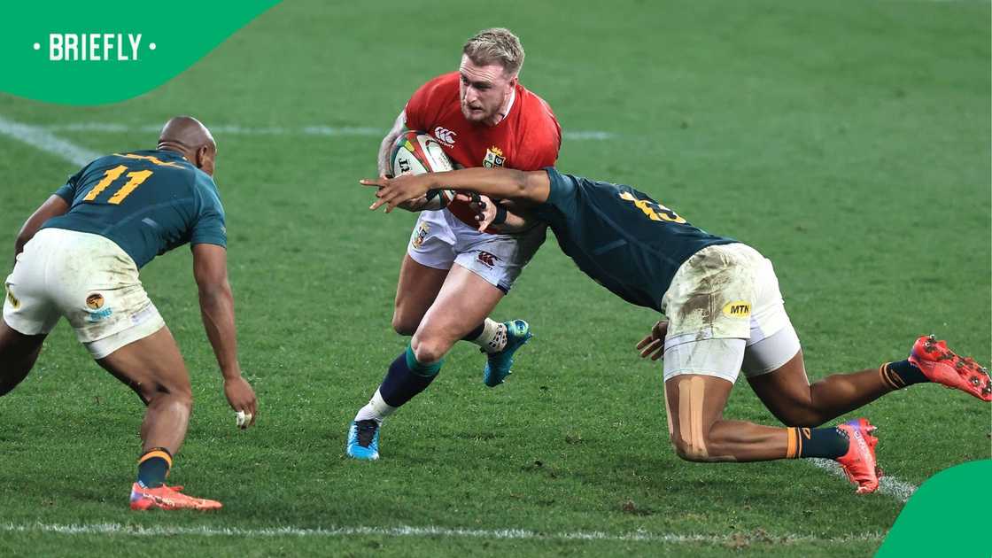 Stuart Hogg, Springboks, British and Irish Lions