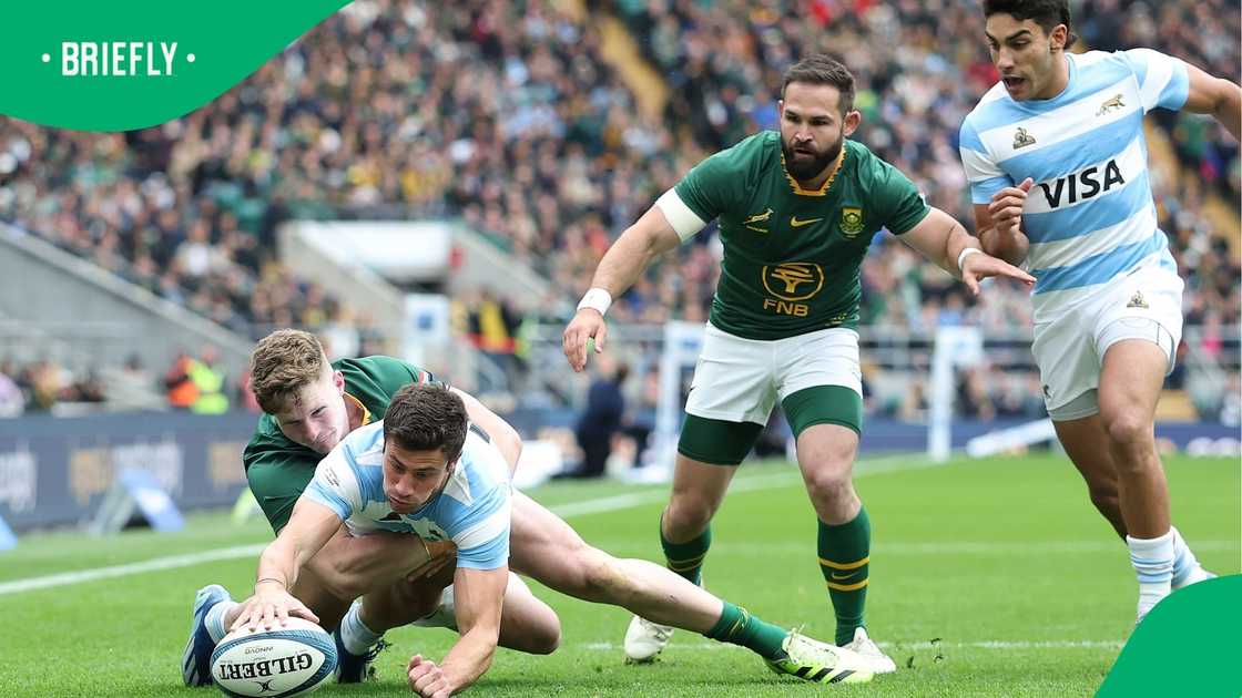 Springboks, Los Pumas, Rugby Championship, South Africa Springboks, Los Pumas, Rugby Championship, South Africa