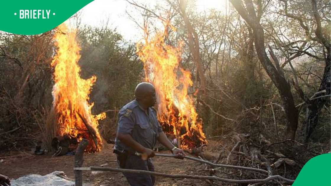 Illegal initiation schol