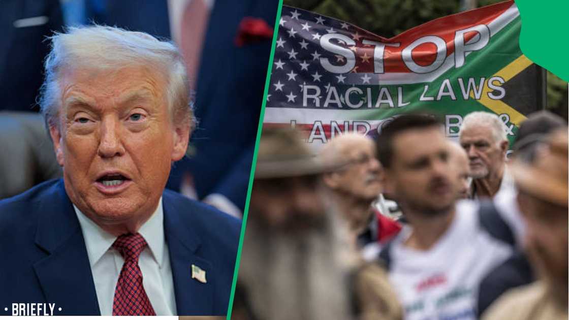 Donald trump Donald trump