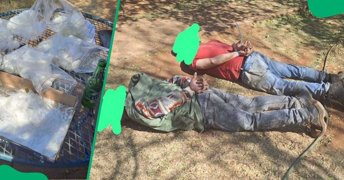 Law enforcement discovered a clandestine drug manufacturing operation at a Groblersdal farm in Limpopo. Law enforcement discovered a clandestine drug manufacturing operation at a Groblersdal farm in Limpopo.