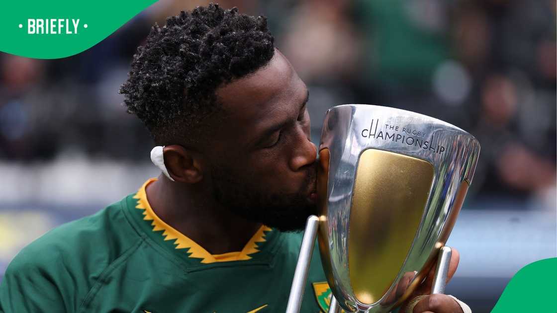 Springboks, Siya Kolisi, Rugby Championship, All Blacks