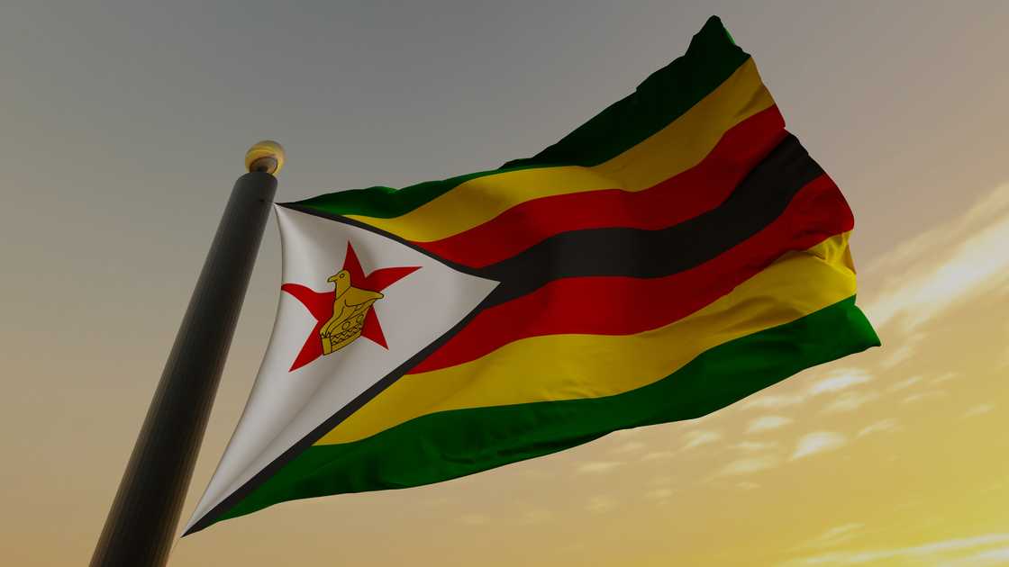 Zimbabweans thank South Africa-based Zimbabwean couple