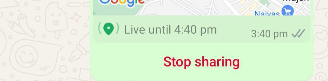 How to share location on WhatsApp