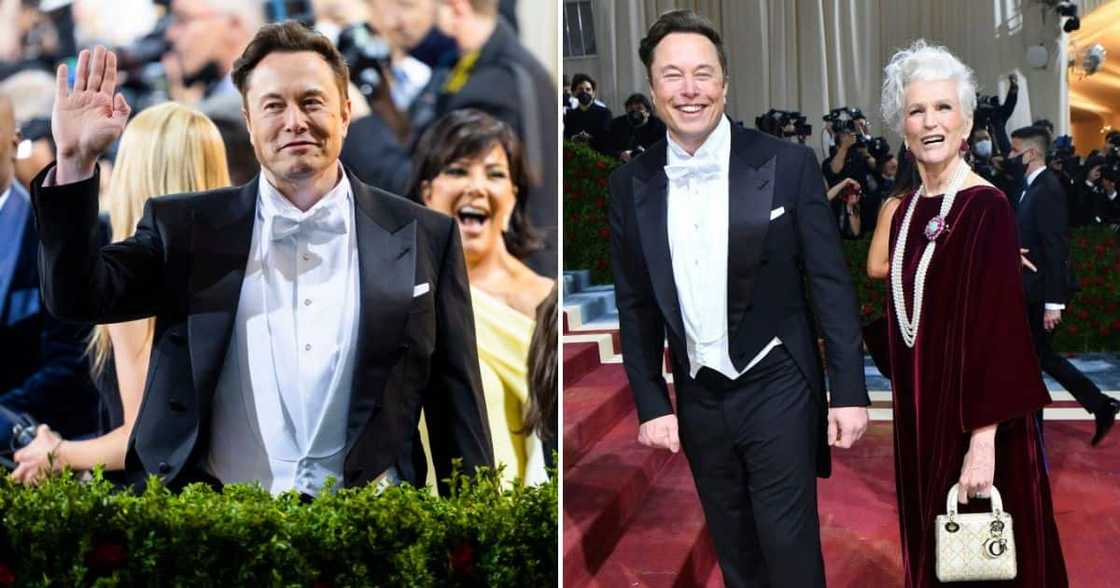 Elon Musk, Maye Musk, Met Gala, Twitter