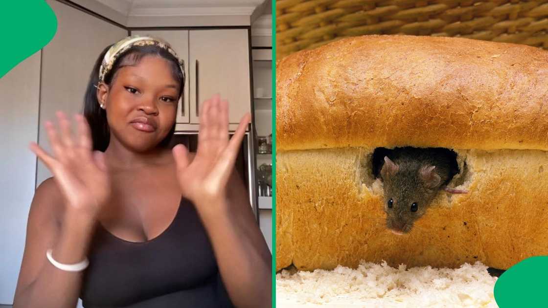 SASKO reacted to a woman claiming she found a rodent in her bread. SASKO reacted to a woman claiming she found a rodent in her bread.