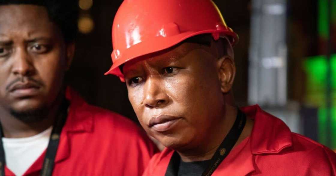 Julius Malema, EFF, Economic Freedom Fighters, politics, JSC, Chief Justice, Constitutional Court, Trevor Manuel, minister, National Assembly Julius Malema, EFF, Economic Freedom Fighters, politics, JSC, Chief Justice, Constitutional Court, Trevor Manuel, minister, National Assembly