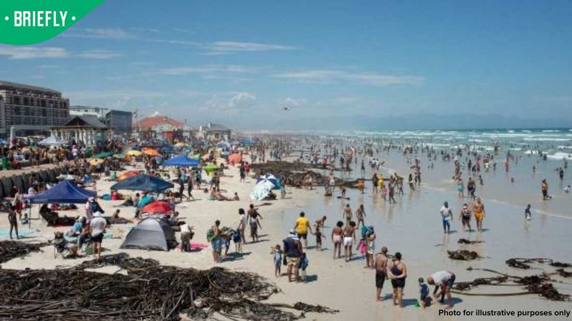 beachgoers beachgoers