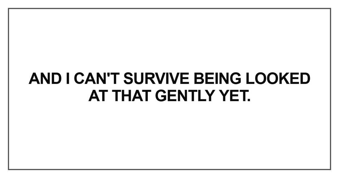 And I can't survive being looked at that gently yet And I can't survive being looked at that gently yet