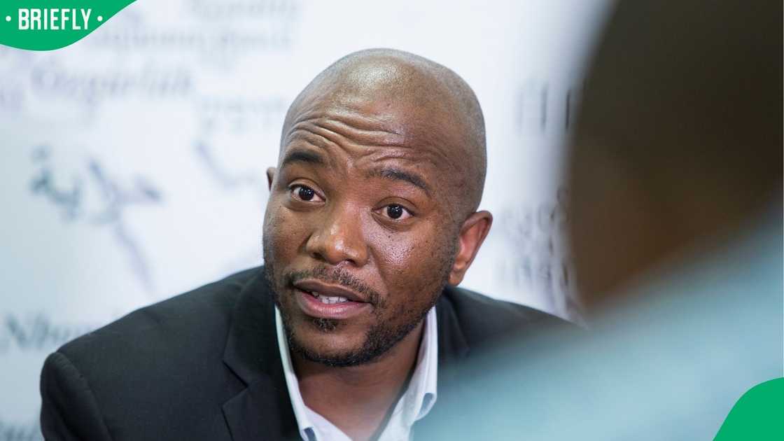 Dr Mmusi Maimane argued that xenophobia was not Ubuntu