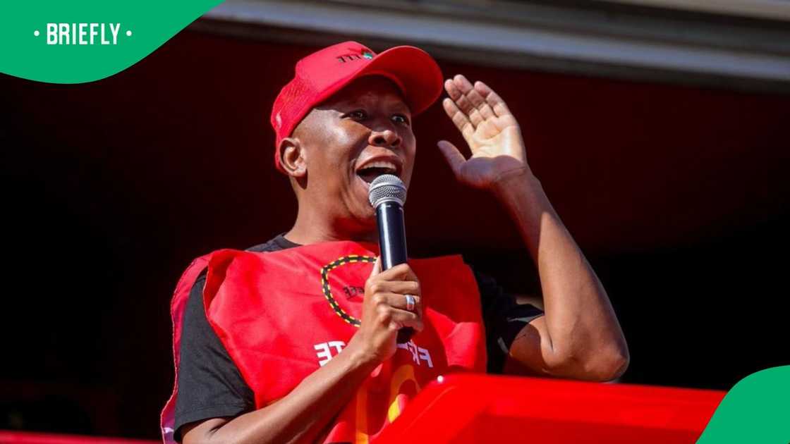 Julius Malema slammed Donald Trump during a rally in the Free State Julius Malema slammed Donald Trump during a rally in the Free State