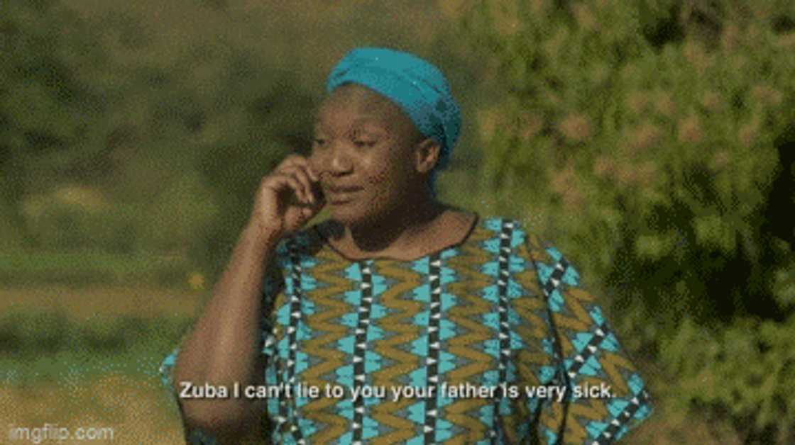 Zuba 3 Teasers Zuba 3 Teasers
