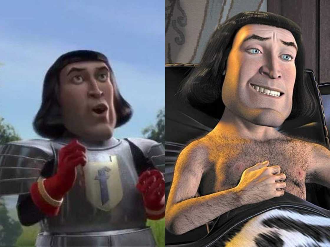 Lord Farquaad in a discussion Lord Farquaad in a discussion