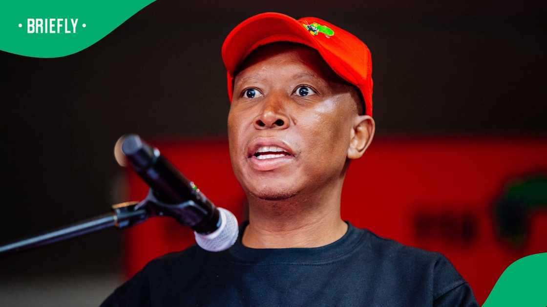 Economic Freedom Fighters (EFF) president Julius Malema explained why he compared Andrea Johnson to Winnie Madikizela-Mandela Economic Freedom Fighters (EFF) president Julius Malema explained why he compared Andrea Johnson to Winnie Madikizela-Mandela