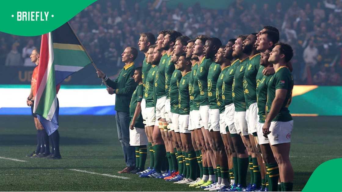 Springboks squad
