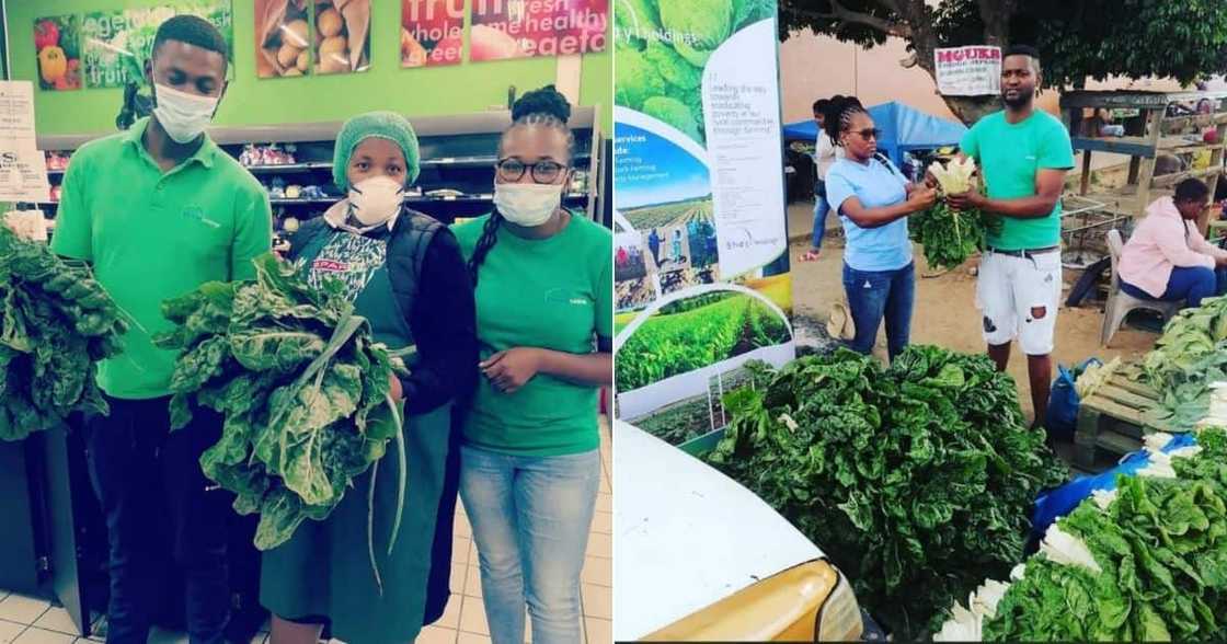 content, creator, crops, carrots, cabbage, butternut, squash, cucumber, asparagus, farmers, money, food content, creator, crops, carrots, cabbage, butternut, squash, cucumber, asparagus, farmers, money, food