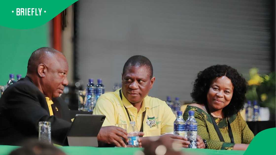 ANC ranked among corrupt organisations worldwide