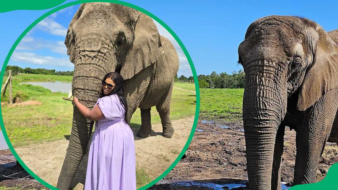 Things to do in Hartbeespoort with kids Things to do in Hartbeespoort with kids