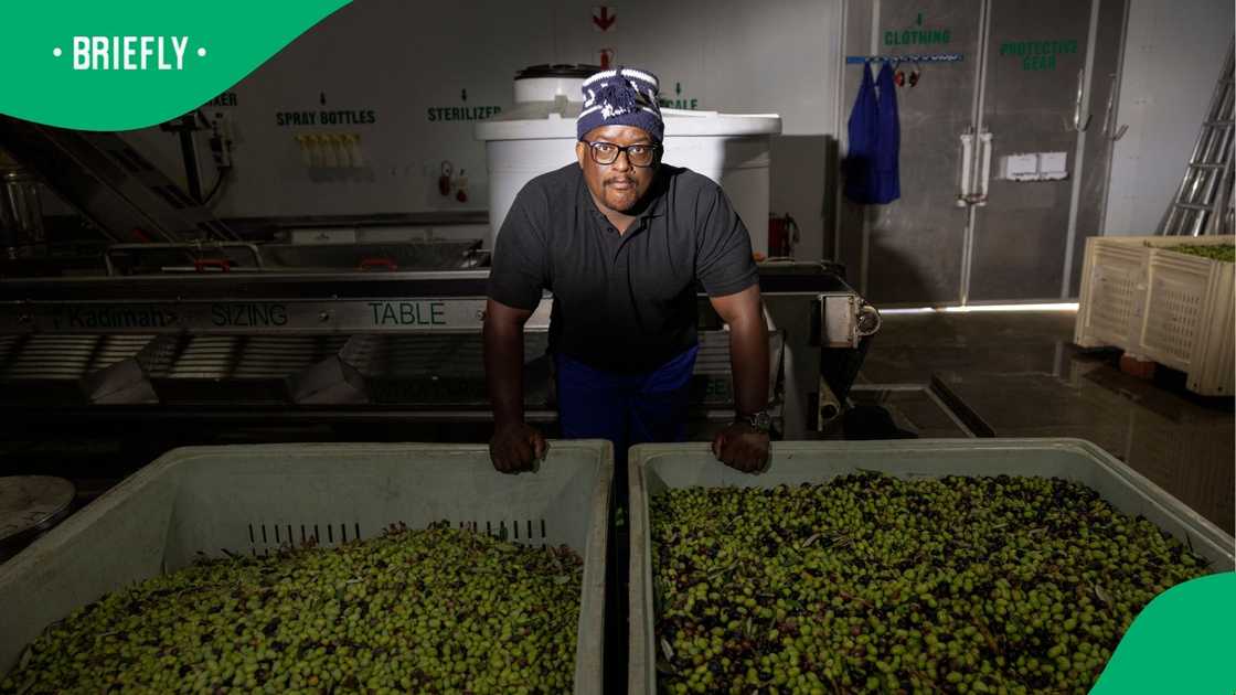 Africa’s data governance policies must be guided by the continent’s own economic, social, and agricultural realities Africa’s data governance policies must be guided by the continent’s own economic, social, and agricultural realities