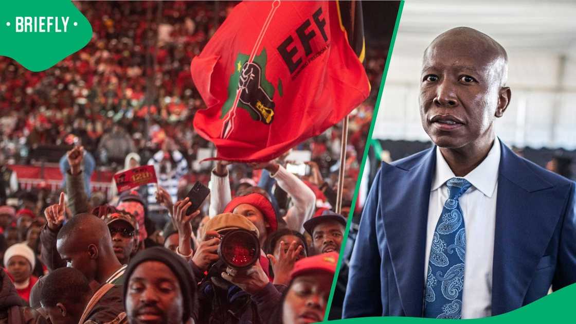 An EFF supporter made headlines outside the court where Julius Malema was found guilty