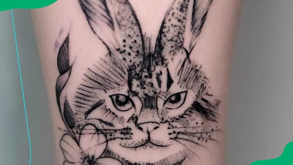 Cat bunny tattoo Cat bunny tattoo