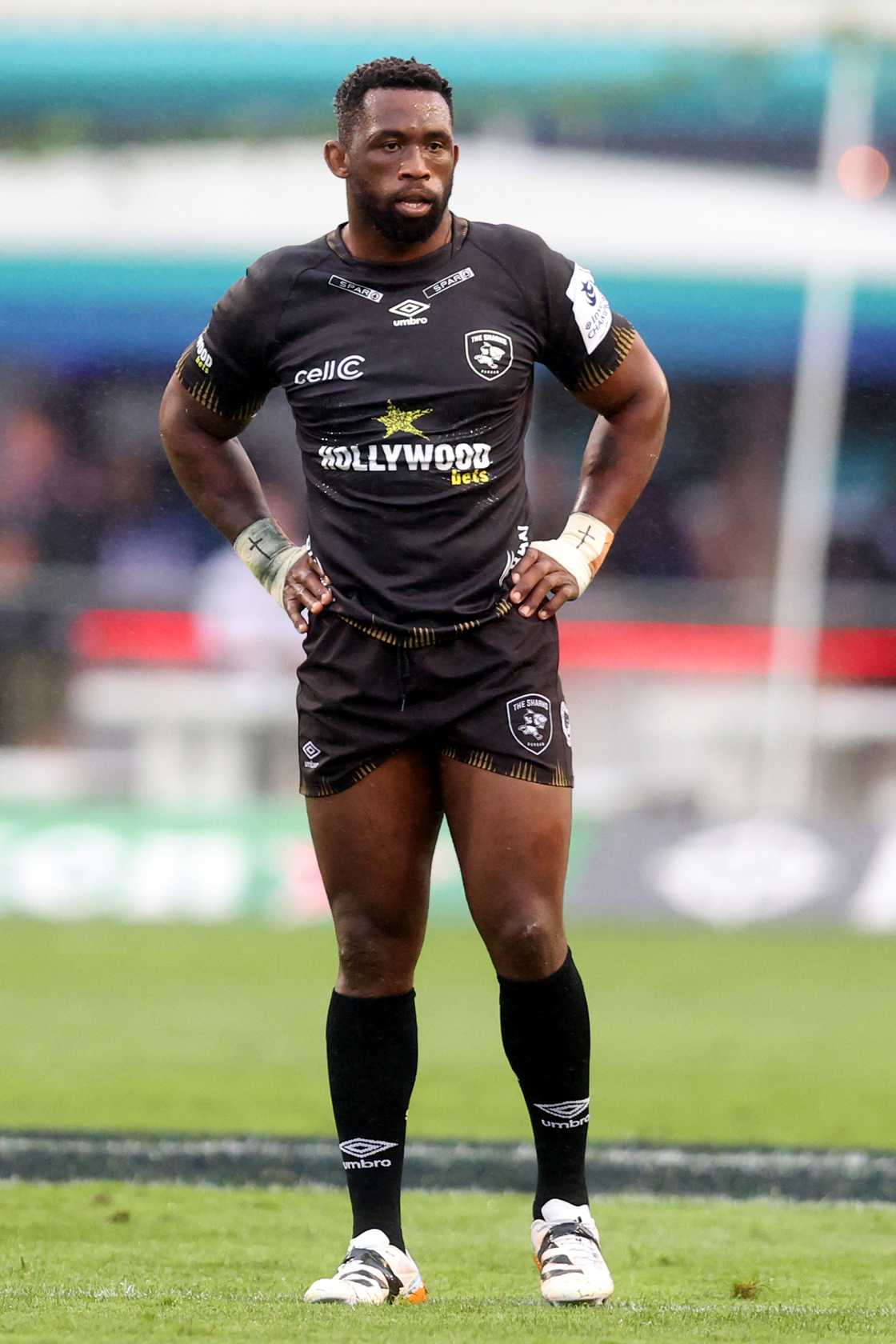 Kolisi