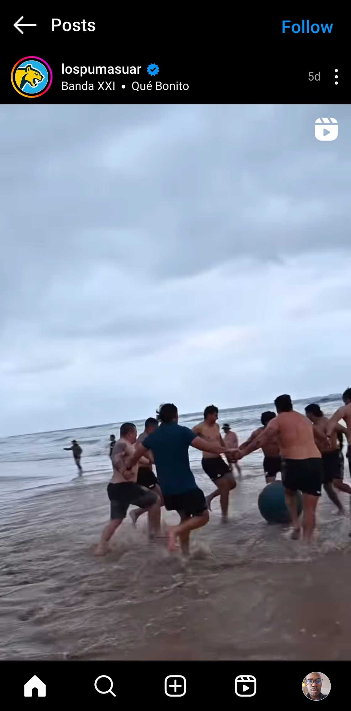 Los Pumas, Springboks, Umhlanga Rocks